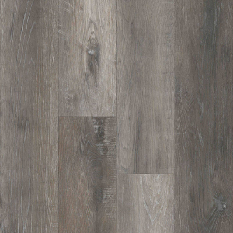 Timeless Designs: Everlasting II: English Oak