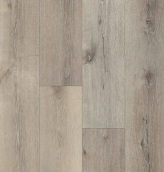 Timeless Designs: Everlasting II: Laurel Oak
