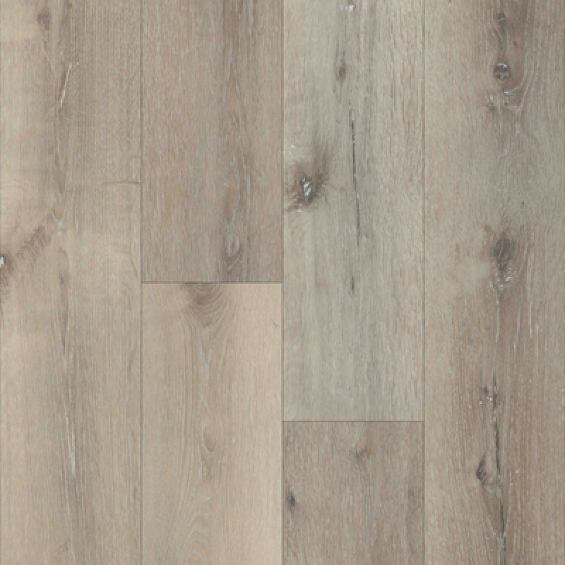 Timeless Designs: Everlasting II: Laurel Oak