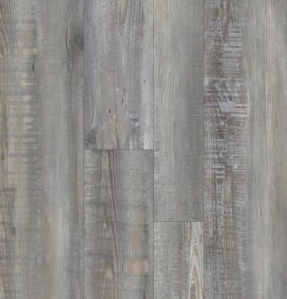 Timeless Designs: Everlasting: Multi-Width: Monticello