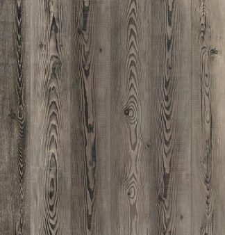 Timeless Designs: Lone Pine